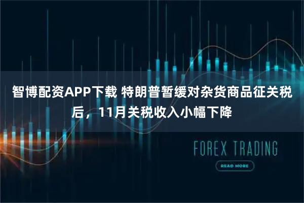 智博配资APP下载 特朗普暂缓对杂货商品征关税后，11月关税收入小幅下降