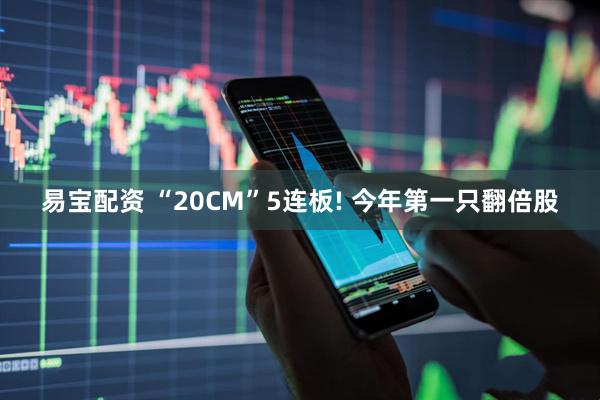 易宝配资 “20CM”5连板! 今年第一只翻倍股