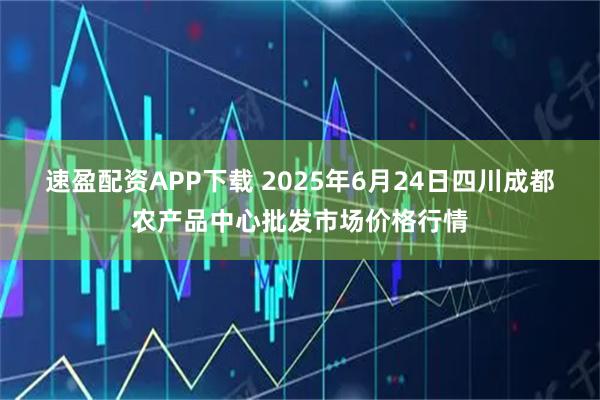 速盈配资APP下载 2025年6月24日四川成都农产品中心批发市场价格行情