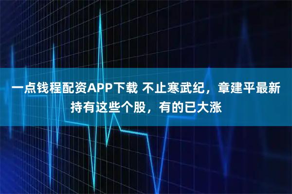 一点钱程配资APP下载 不止寒武纪，章建平最新持有这些个股，有的已大涨